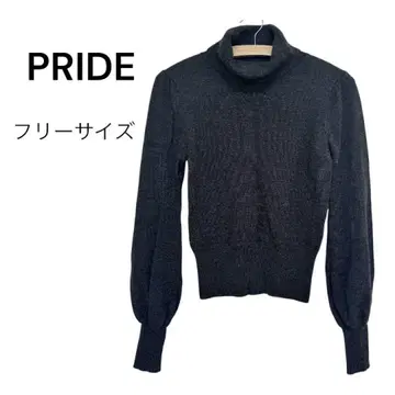 PRIDE 터틀넥 스웨터 프리 사이즈 다크 그레이