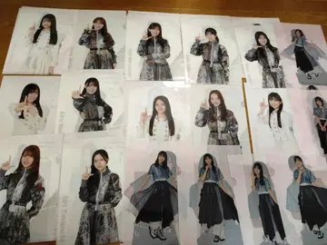 사쿠라자카 클리어 파일 50장 이상 세트