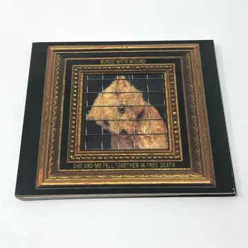 Nurse With Wound She And Me Fall Toget