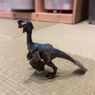 [ 단종 ] 슐라이히 오비랍토르