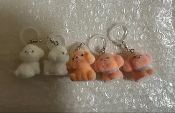 모코푸와 강아지 메지루시 액세서리