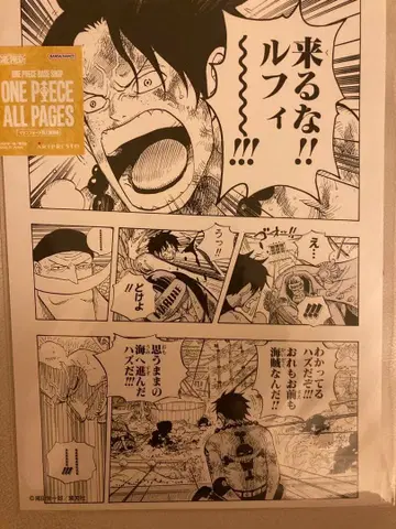 원피스 올 페이지 에이스 루피 마린포드