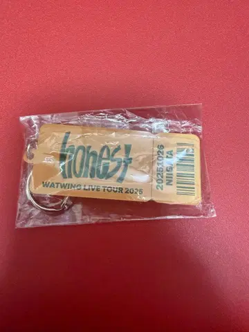 honest WATWING LIVE TOUR 2025 키링 니가타