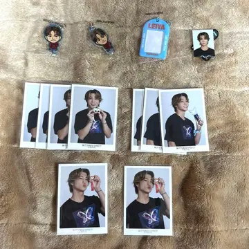 [ 낱개 판매 ] 세구치 레이야 묶음 판매