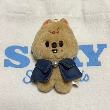 Straykids skzoo 10CM PLUSH 10cm 인형 한쿼카