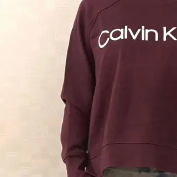 레어 Calvin Klein 버건디 맨투맨