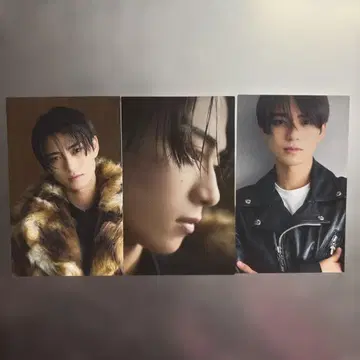 YOJI IWASE 트레이딩 카드 달력 세트