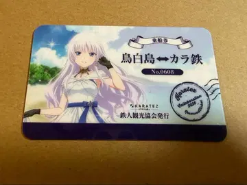 썸머 포켓 가라오케 철인 승선권풍 카드 나루세 시로하 초레어