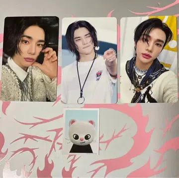 StrayKids TOYWORLD HMV 현진