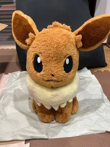 이브이 봉제 인형 피카피카 박스 2026