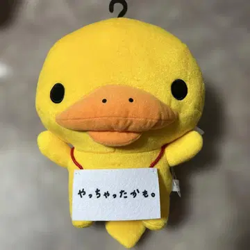 [택 포함] San-x 올스타즈 목걸이 간판 봉제 인형 카모노하시마시.