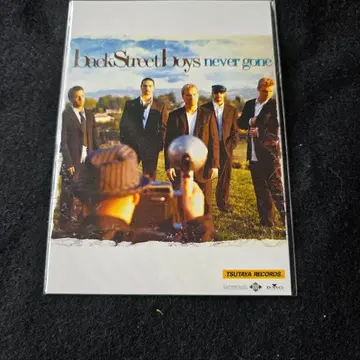 특전 비주얼 카드 Backstreet Boys [ Never Gone ]