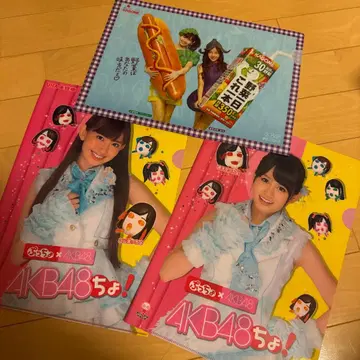 AKB48 클리어 파일 3장 세트