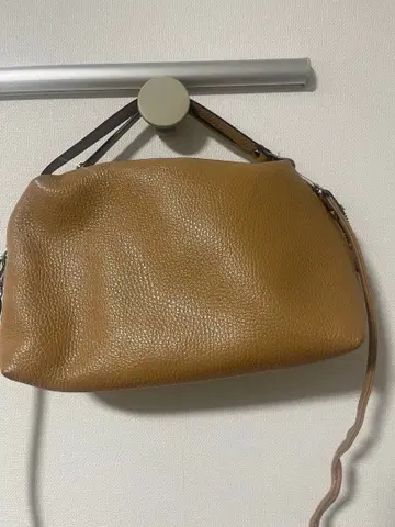 지아니카리니 지아니카리니