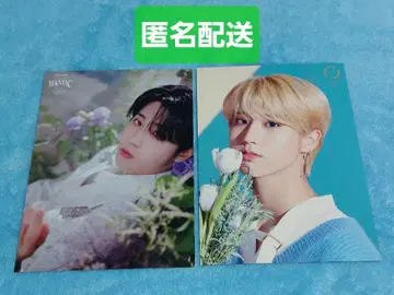 Stray Kids 한 랜덤 포토카드 스키즈