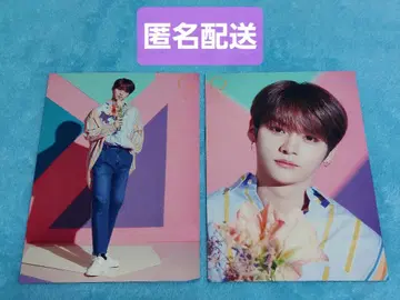 Stray Kids 리노 랜덤 트레이딩 카드 스키즈