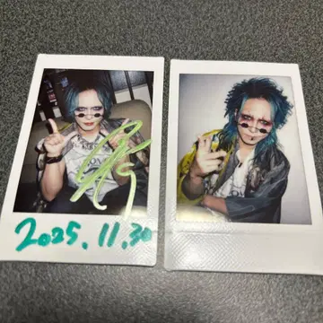 나방과 나비 히로타카 폴라로이드