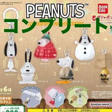 컴플리트 PEANUTS 메지루시 액세서리 FUNNY ver. 가챠