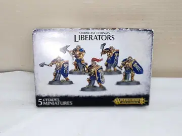 Warhammer Age of Sigmar 리버레이터 5체 세트