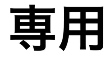 라스트 신 이치카 폴라로이드