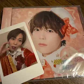 팬더드래곤 [파치] 하피카