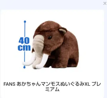 아기 매머드 봉제 인형 XL 프리미엄