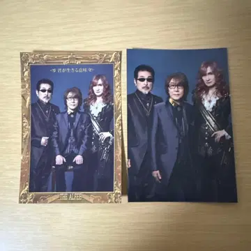 THE ALFEE 네가 사는 의미 포토 카드 2장 세트