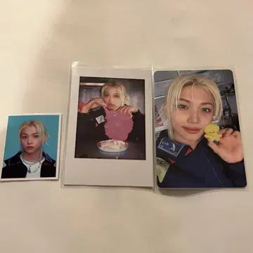 스키즈 시그 트레카 필릭스