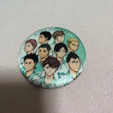 하이큐!! 아오바죠사이 집합 실키 캔뱃지