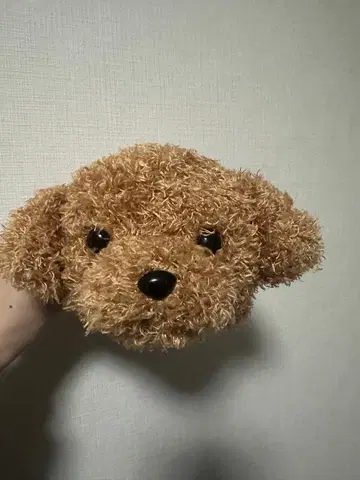 브라운색 강아지 인형