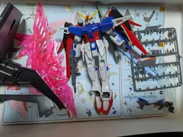 HG 데스티니 건담