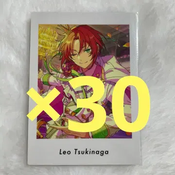 앙상블 스타즈 앙스타 츠키나가 레오 파샤츠 action 30장 세트