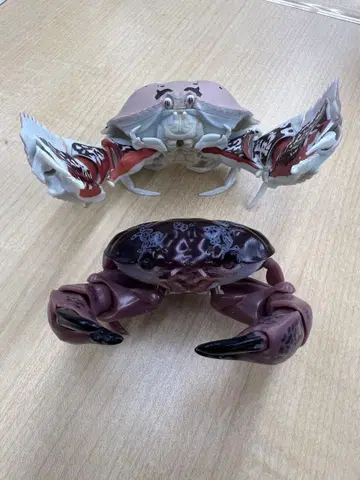 생물대도감 게 [트라프카라파] [스베스베만쥬우가니] 2체 세트