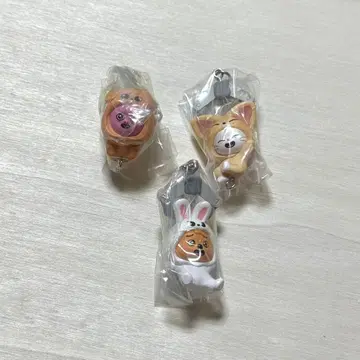 SKZOO 츠만데츠나게테마스코토 vol.2 3종 세트