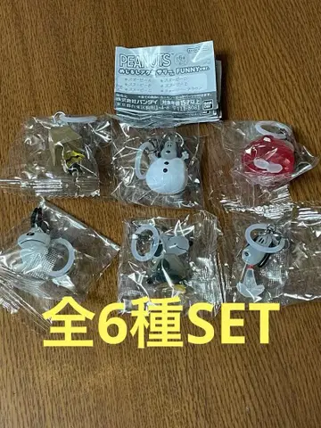 PEANUTS 메지루시 액세서리 FUNNY ver. 전 6종 SET