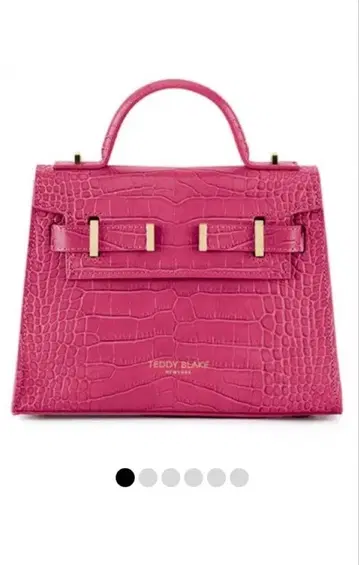 [ TEDDY BLAKE NEW YORK ] 핑크 2WAY 백