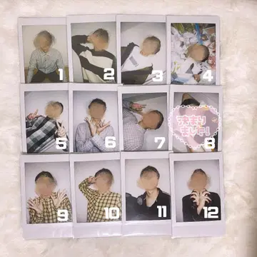 리얼 아키바 보이즈 네스 폴라로이드