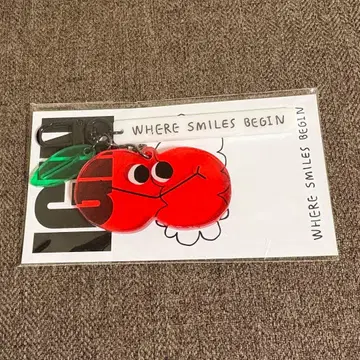 BTS JIN IGIN 크리스마스 마켓 한정판 아크릴 키링