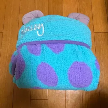 디즈니 샐리 담요