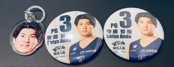 요코하마 비 커세어즈 비코루 안도 세이야 캔뱃지 표식 참