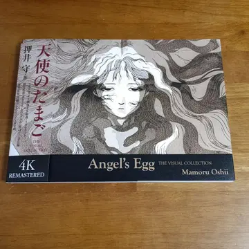 천사의 알 THE VISUAL COLLECTION