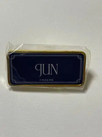 seventeen 준 핀 배지