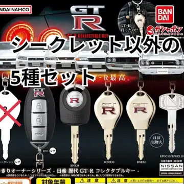 나리키리 오너 시리즈 - 닛산 역대 GT-R 컬렉터블 키 세미 컴프