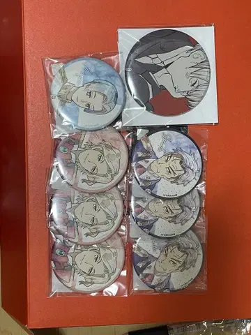 ACCA13구 감찰과 캔뱃지