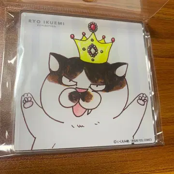 이쿠에미 아야 원화전 OUR STORIES 아크릴 코스터 모아주세요?