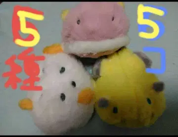 말랑말랑 바다민달팽이 5종류 봉제 인형 세트