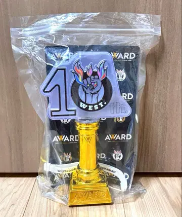 WEST. award 응원봉