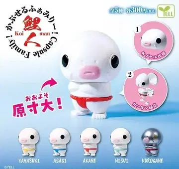 캡슐 패밀리! 코이비토 전 5종 풀 컴프