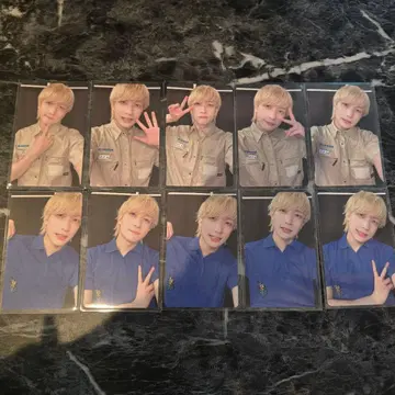 팬더 드래곤 요타