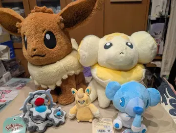 포켓몬 봉제 인형 세트 특대형 이브이 포함